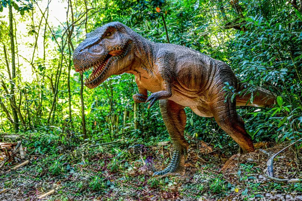 Terra dos Dinos
